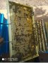 Пчелни отводки многокорпусни , снимка 4