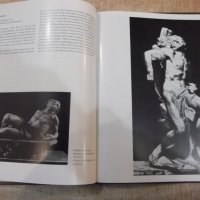 Книга "Giovanni Lorenzo Bernini - Jan Białostocki" - 72 стр., снимка 4 - Специализирана литература - 30980620