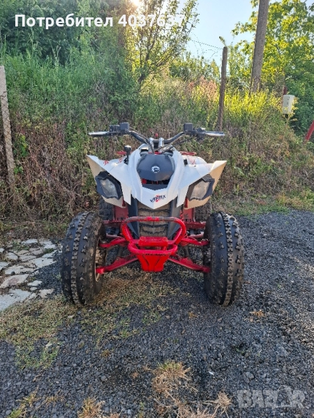 Can-Am DS 250 2009 , снимка 1