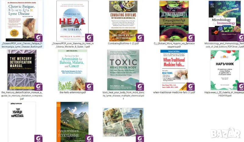 Лечителят Медиум, Детоксикацията,Тихите убийци на мозъка,Мухъл и др., снимка 1