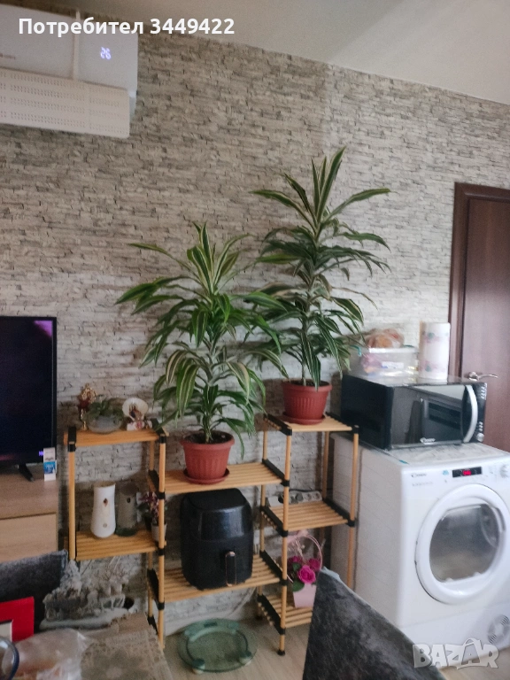 Цветарник , снимка 1