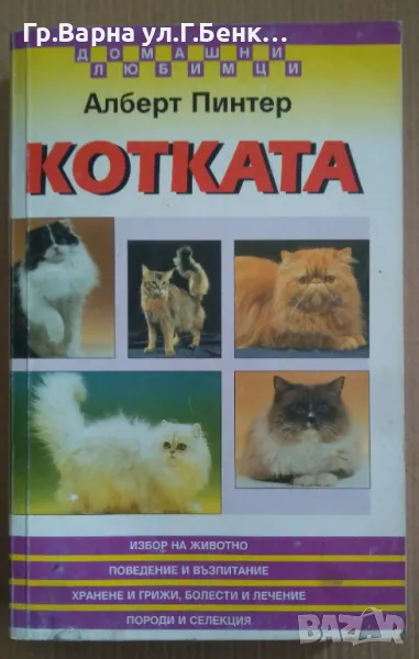 Котката Алберт Пинтер 13лв, снимка 1