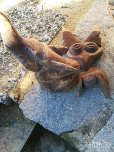 Фруктиера, слон дърво, дявол дърво, снимка 1