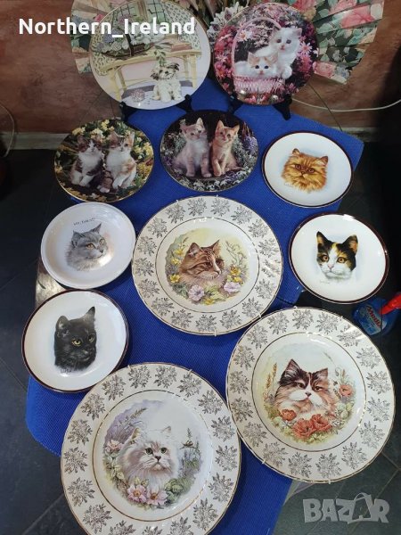 Колекционерски чинии за стена с котки , снимка 1