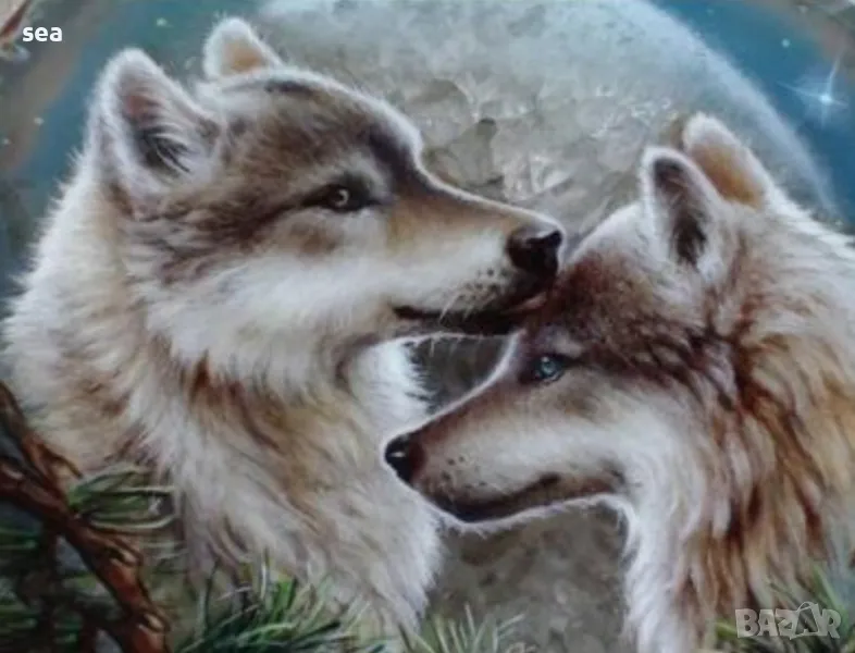 Диамантен гоблен 40/50 см Вълци, снимка 1