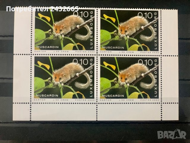 1246. Люксембург 2022 = “ Фауна. Бозайници от Люксембург : Лешников сънливец. “, **, MNH 
