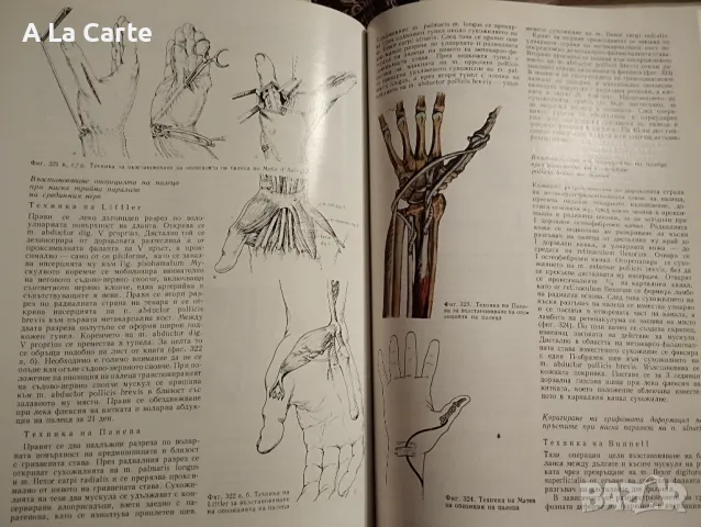 Оперативна Ортопедия и Травмотология, снимка 4 - Специализирана литература - 47990672