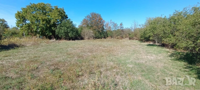 Продава, Парцел, с. Соколаре, 1 830 кв.м., 8 000 Е, снимка 4 - Парцели - 53014202