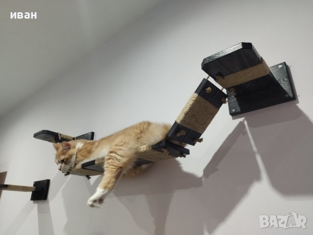 Котешка стена за игра и релакс , снимка 10 - За котки - 42215307