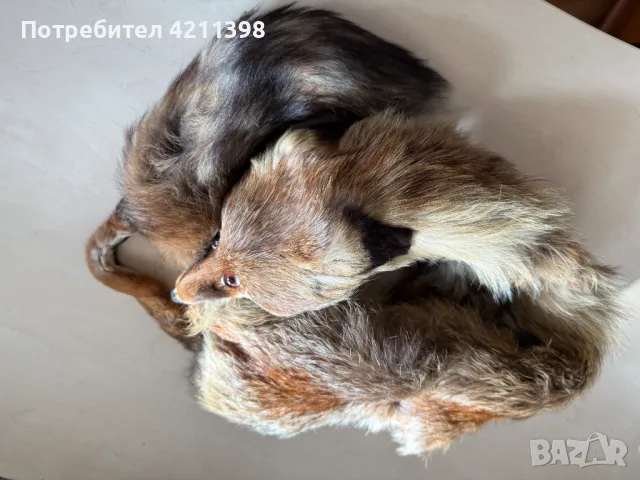 Лисица естествена кожа Яка