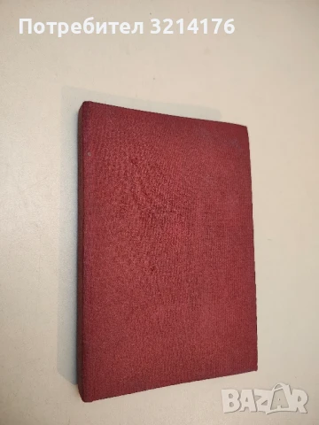 Михаил Василевич Фрунзе - П. Березов