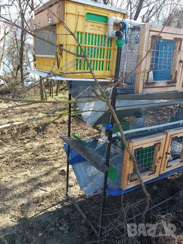 Клетки за зайци - само почистващи , снимка 3 - Декоративни зайчета - 54213746