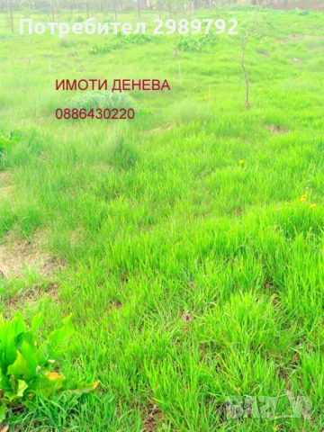 ПРОДАВА ПАРЦЕЛ В РЕГУЛАЦИЯ С ТОК,ВОДА В с.БЕЗВОДИЦА,обл.ДОБРИЧ