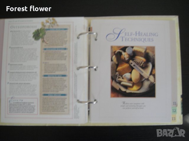 Книга/Класьор - The Complete Guide to Natural Healing, снимка 15 - Енциклопедии, справочници - 37516127
