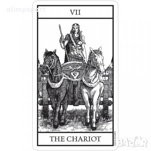 карти таро USG BIANCO NERO нови  , снимка 5 - Карти за игра - 39795268