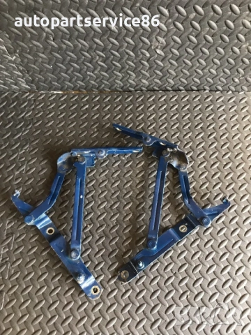 Комплект панти за задния капак син цвят за KIA Magentis (2002)