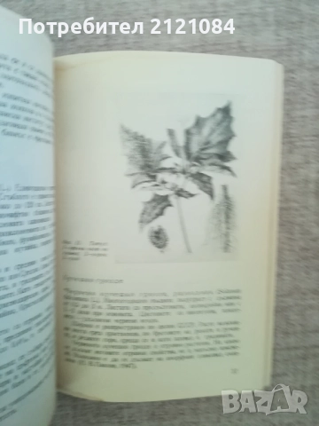  Използване на растенията за борба с неприятелите в селското стопанство, снимка 6 - Специализирана литература - 51787996