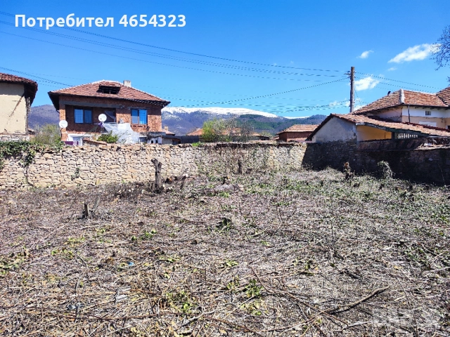 Парцел в село Мирково, снимка 5 - Парцели - 52452595