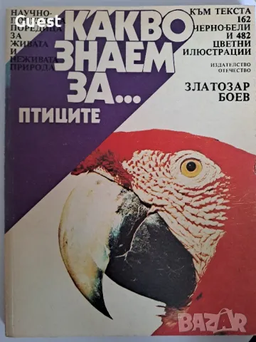 Какво знаем за ... птиците 