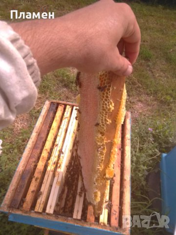 Продавам Пчелен Мед И Пчелен Прашец, снимка 2 - Пчелни продукти - 39025586