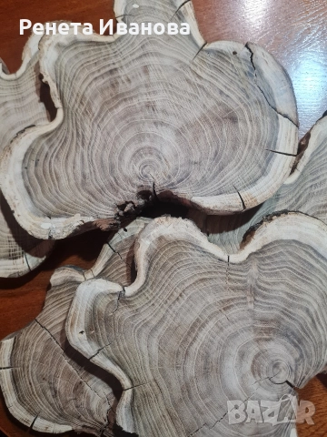 Дървени шайби , снимка 2 - Декорация за дома - 52645998