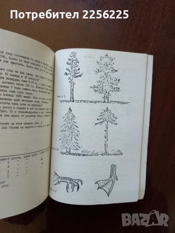 Сборник от гатанки,пословици,поговорки, занимателни игри и викторини, снимка 3 - Учебници, учебни тетрадки - 50079950