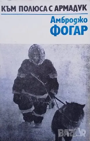 Към полюса с Армадук Амброджо Фогар