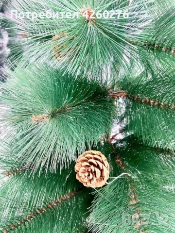 Елха естествено зелена с шишарки, снимка 2 - Други стоки за дома - 52159877