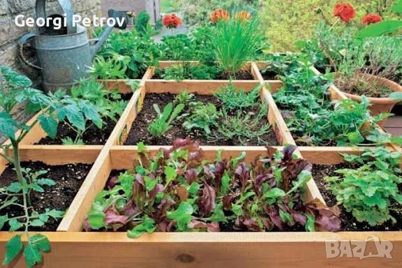 Био Тор за зеленчуци и овощни дръвчета (50л-12лв). Биотор от Калифорнийски червеи за вашата градина, снимка 3 - Тор и почвени смеси - 52102244