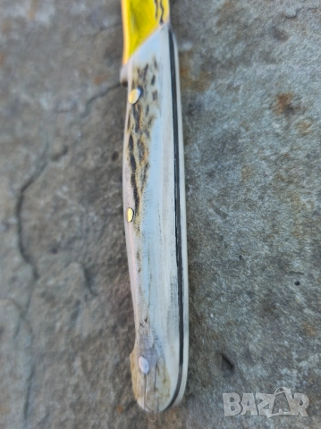 Ножче от еленски рог , снимка 6 - Ножове - 52113439