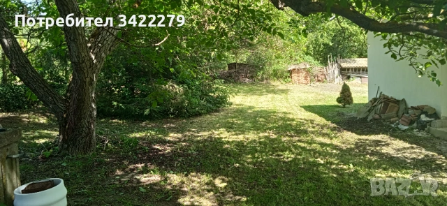 Опасни дървета рязане косене непроходима растителност почистване от-до, снимка 5 - Други услуги - 49352802