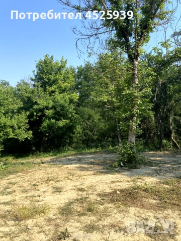 Парцел в регулация до гр. Елена, снимка 5 - Парцели - 52041440