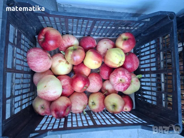 Продавам био ябълки без химия!, снимка 3 - Домашни продукти - 56436606