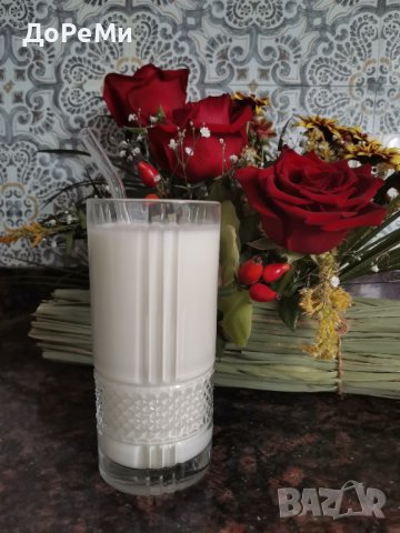 ПРОБИОТИК ~ Тибетски КЕФИРНИ зърна Кефир за млечна ферметнация , снимка 5 - Домашни продукти - 42437691