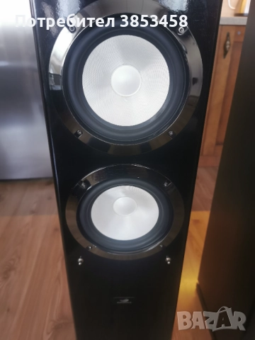 Тонколони audiophile, снимка 4 - Тонколони - 52806904
