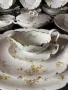 120 годишен Rosenthal Iris- сервиз за хранене за 14 човека, снимка 7