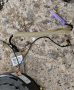 кабел от лентов кабел към airbag VW - 1K0971584, снимка 5