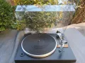 Technics SL-20 Frequency Generator Turntable, снимка 2