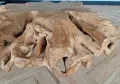 Дизайнерска Холна маса , снимка 5