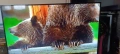 Sony KD-65XG8096 Android 4K.UltraHD.Smart,Led,Wifi., снимка 16