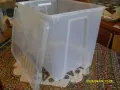 Продавам кутия за съхранение на вещи "IKEA" , снимка 2