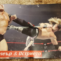 Уникални плакати на Първична сила WWE - Разбиване - Кеч, снимка 17 - Нумизматика и бонистика - 44700639