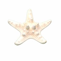 Декорация Ahelos, Морска звезда, Естествена, 6 см, снимка 1 - Морски сувенири - 40811162