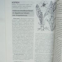 Книга Билкосъбиране - И. Асенов др. 1998 г., снимка 2 - Други - 35253479