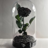 Подарък за рожден ден / Вечна Черна роза в ГОЛЯМА стъкленица / Оригинален подарък за нея, снимка 5 - Декорация за дома - 28355038