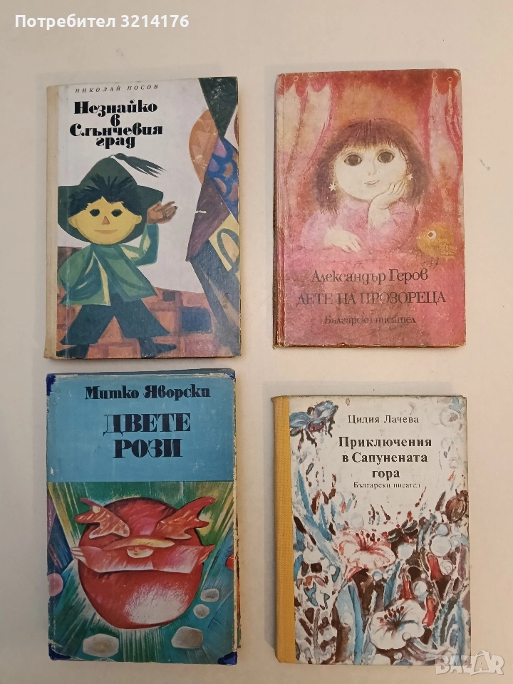 Дете на прозореца - Александър Геров (1981), снимка 1