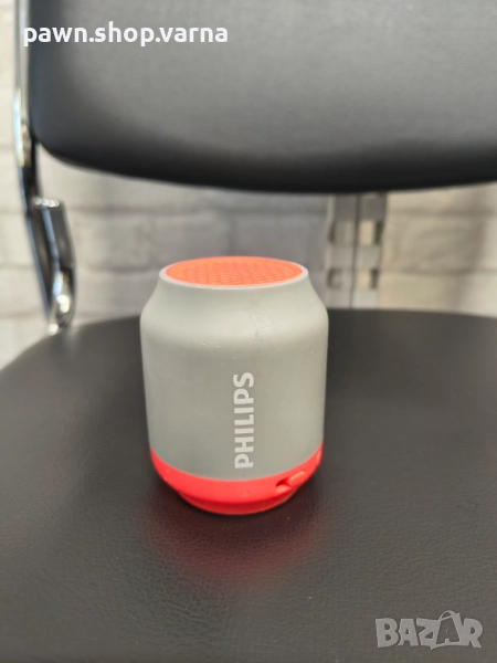 Безжична портативна тонколона BT50G/00, снимка 1