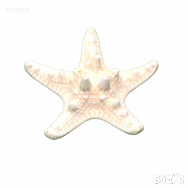 Декорация Ahelos, Морска звезда, Естествена, 6 см, снимка 1