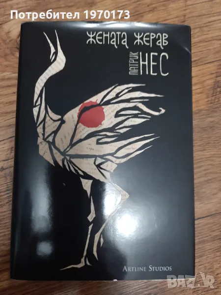 Патрик Нес, снимка 1