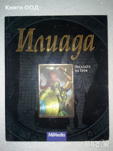 Илиада - Енцо Савино, снимка 1